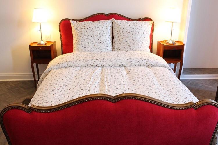 Le Napoleon Hotel Luxeuil-les-Bains Ngoại thất bức ảnh